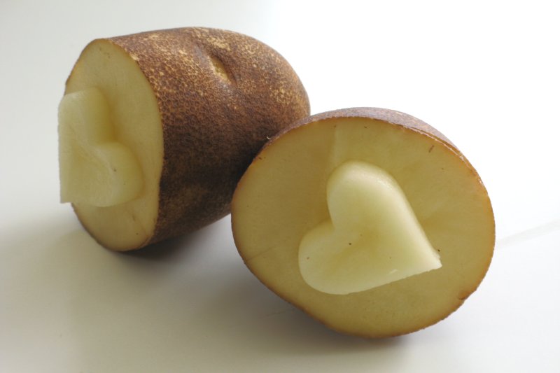 Штампы из картофеля