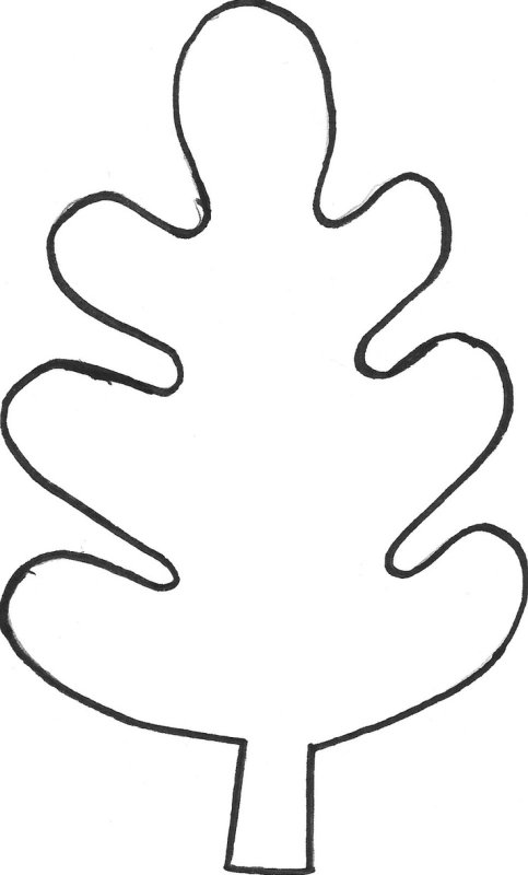 Лист дуба шаблон