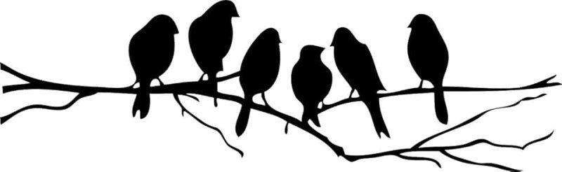 Птички на ветке трафарет