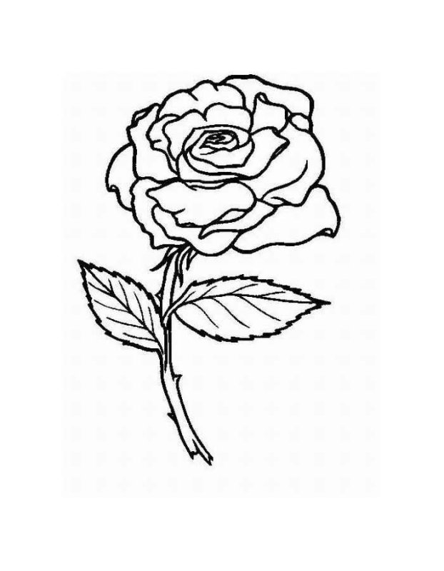 Роза для выжигания по дереву