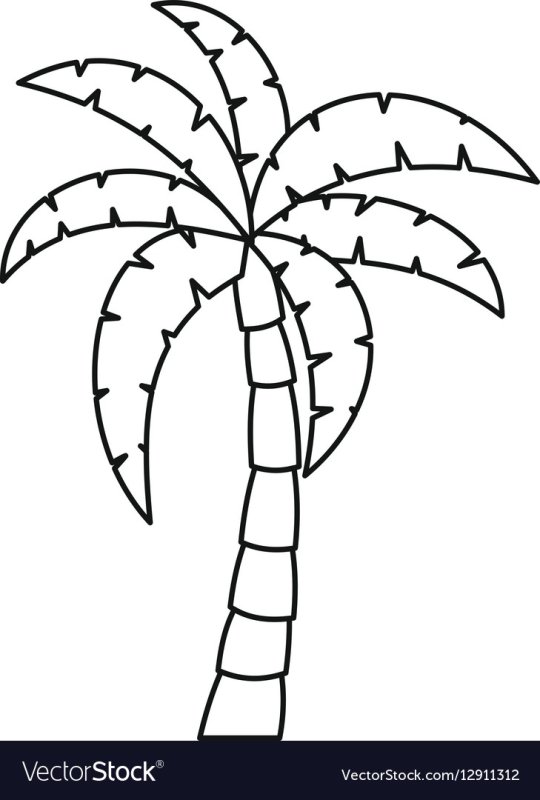 Пальма раскраска для детей
