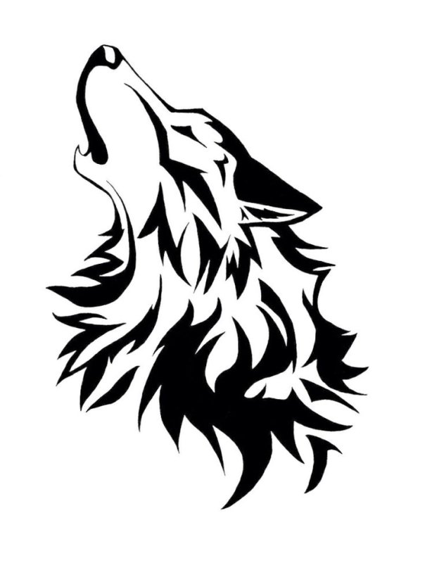 Волк рисунок