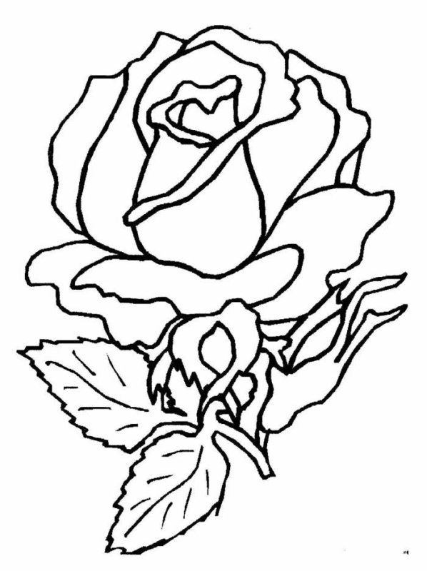 Роза раскраска для детей