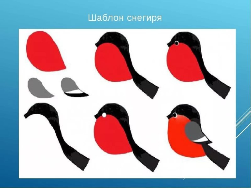 Заготовка Снегирь