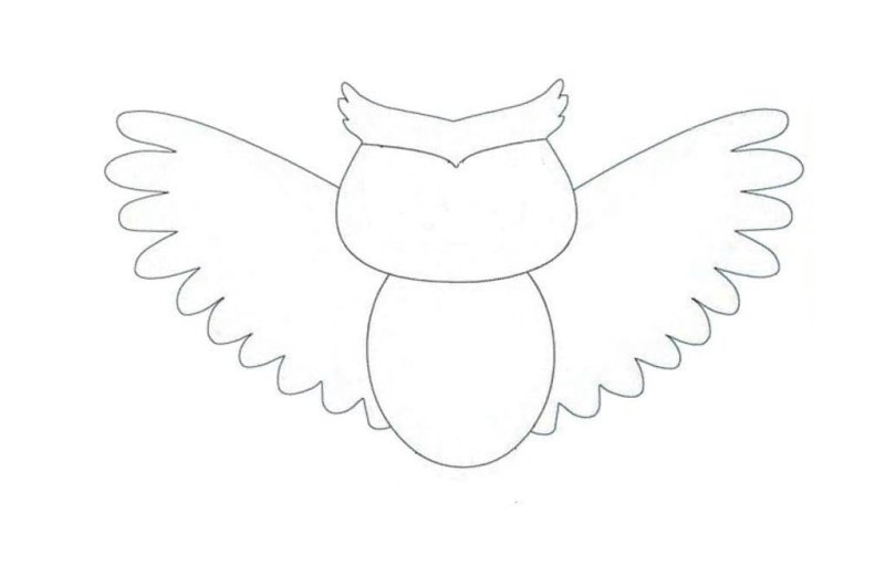 Сова трафарет