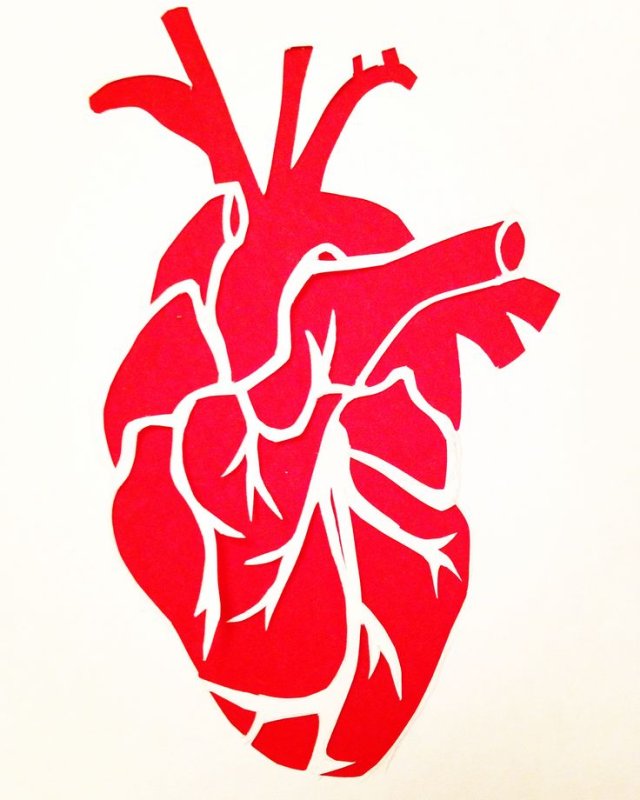 Трафарет человеческого сердца