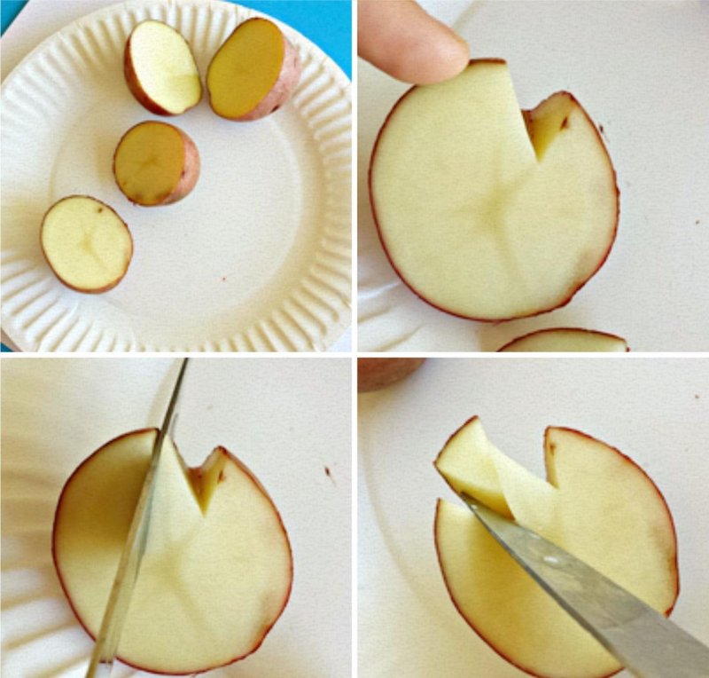 Штампы из картошки для рисования