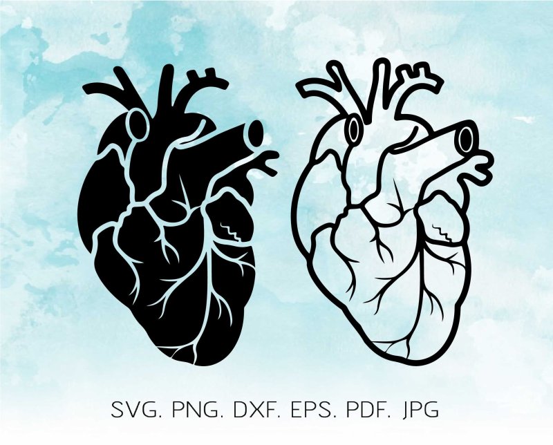 Трафарет сердца настоящего