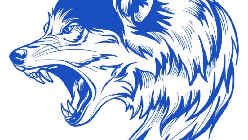 Волк рисунок