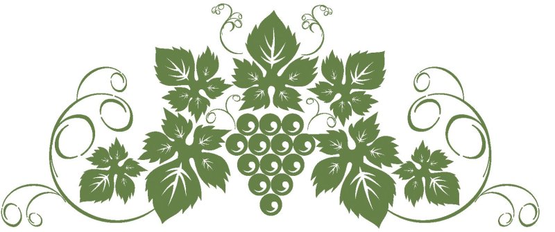 Орнамент Виноградная лоза в векторе