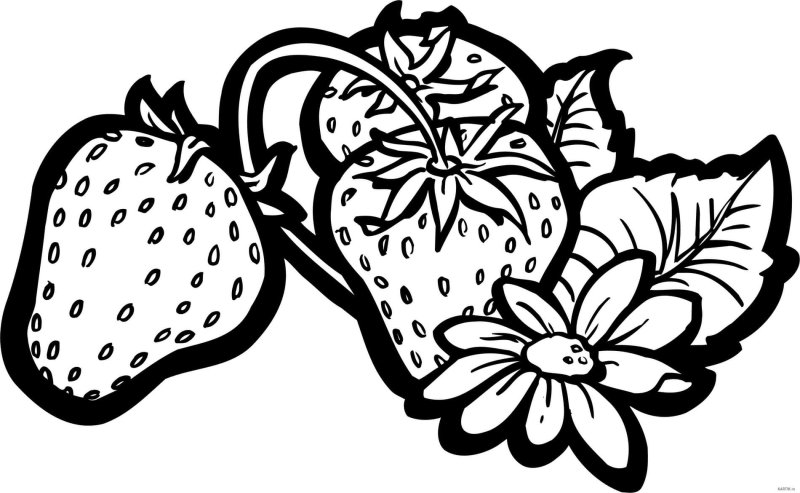 Клубника раскраска для детей