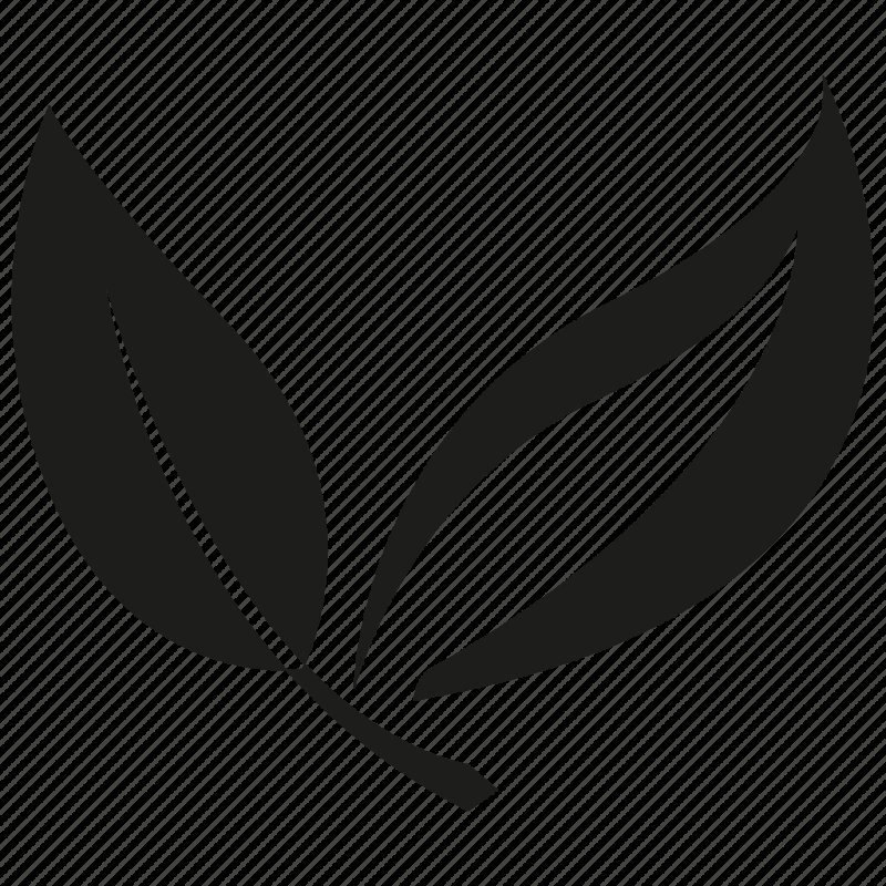 Стилизованные листья чая