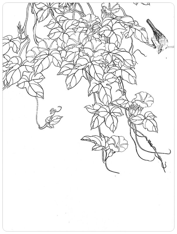 Вьющиеся цветы рисунок