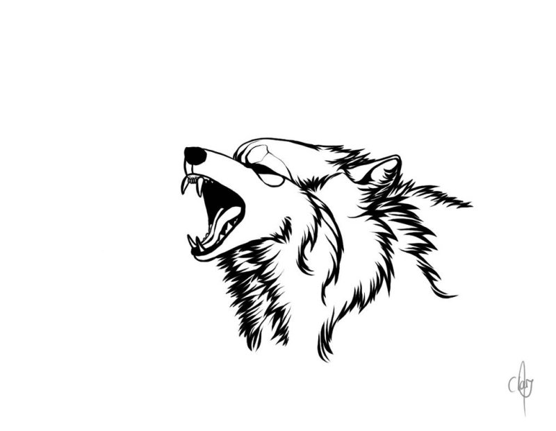 Волк рисунок