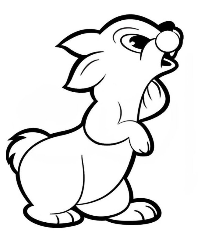 Раскраски животные для детей