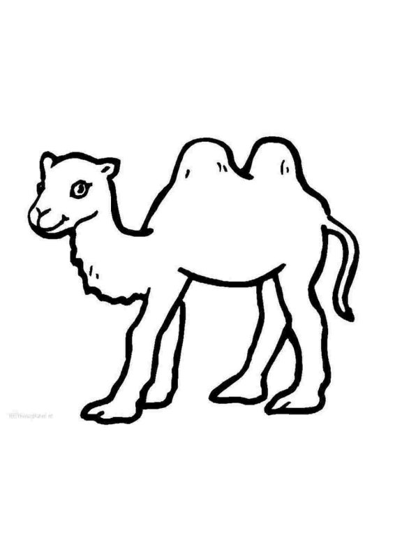 Контуры животных для детей