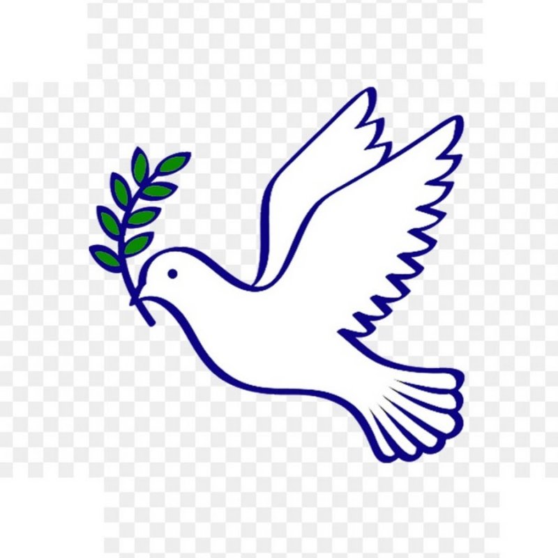 Голубь символ
