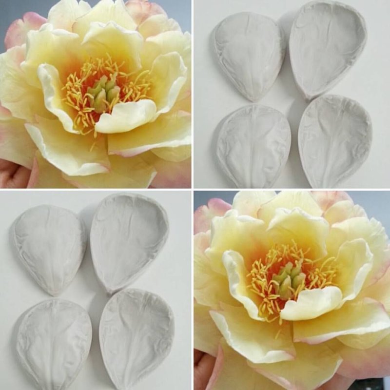 Вайнер лепесток пиона