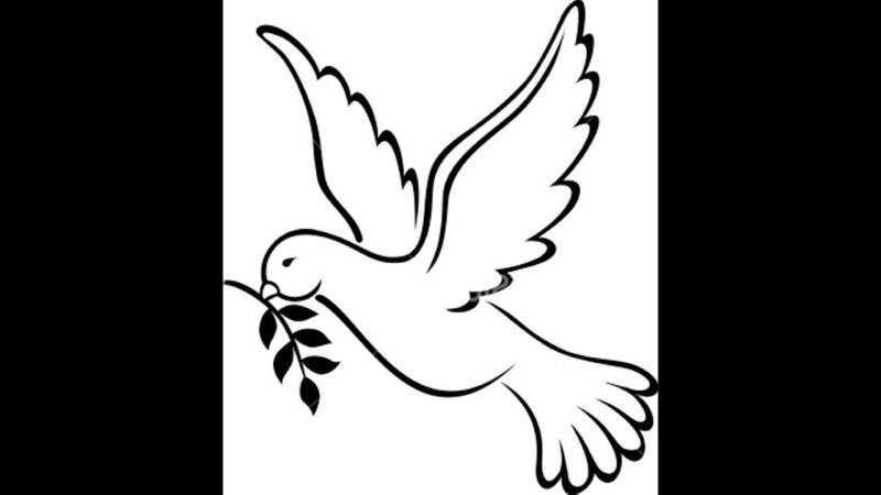 Голубь рисунок