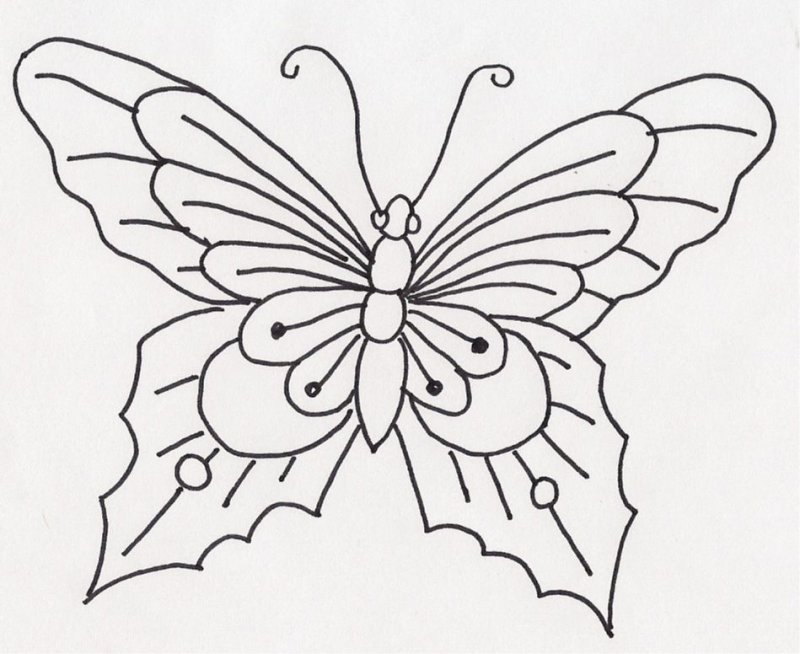 Раскраска "бабочки"