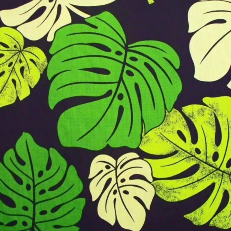 Монстера крупнолистная