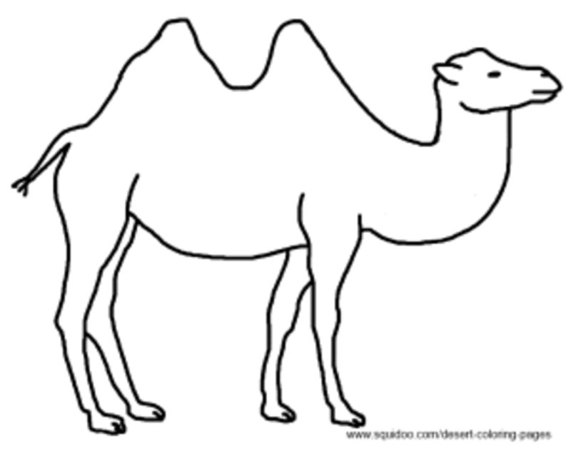 Верблюд трафарет для детей