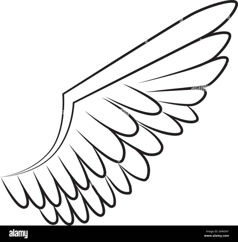 Крылья птицы контур