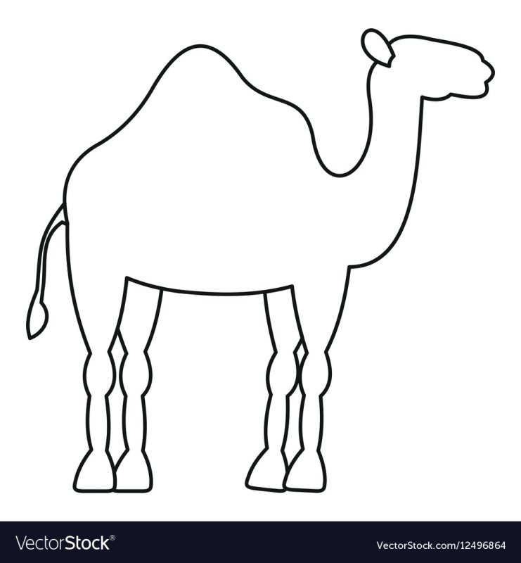 Верблюд трафарет для детей