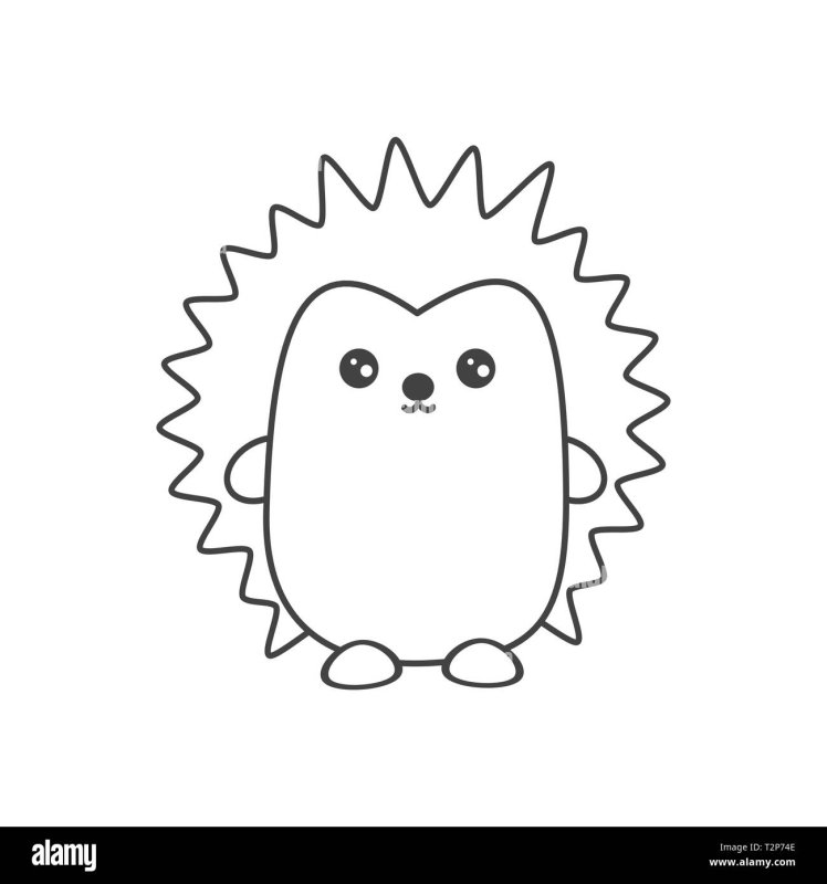 Ёжик раскраска для детей