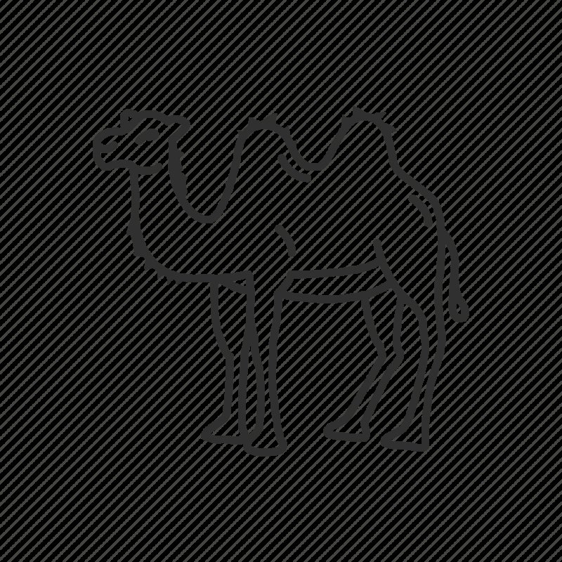 Верблюд трафарет для детей