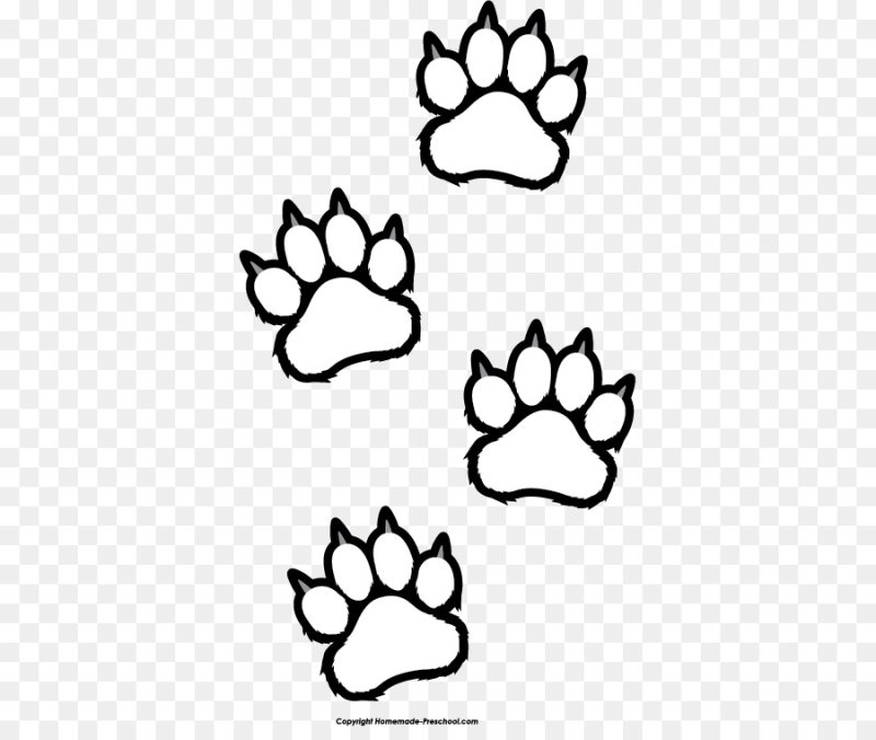 Следы животных