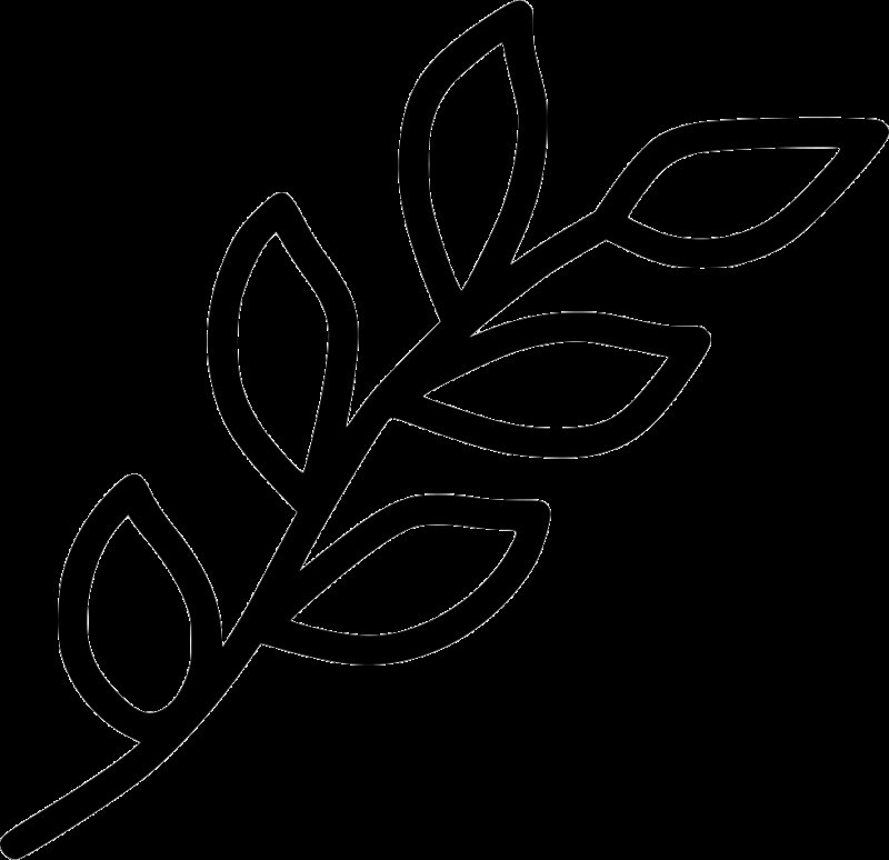 Ветка с листьями