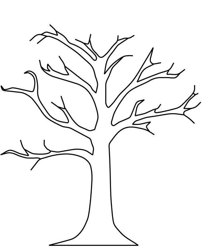 Ствол дерева без листьев