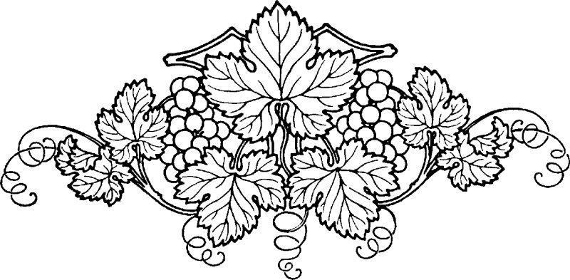 Виноградная лоза орнамент