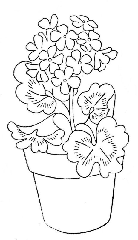 Раскраска комнатные растения в горшках