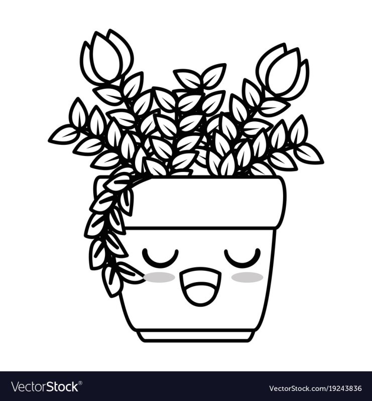 Кактус раскраска