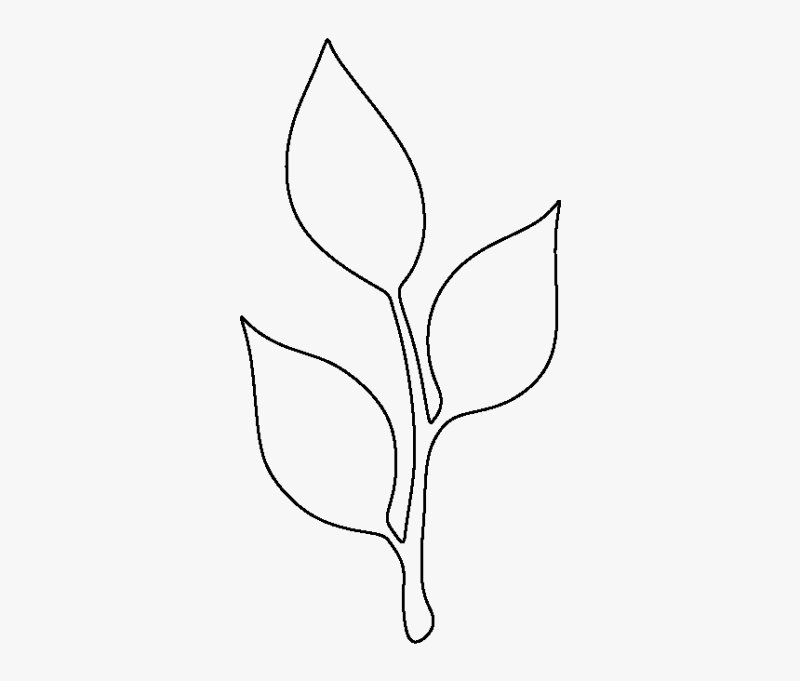 Трафареты листиков для цветов