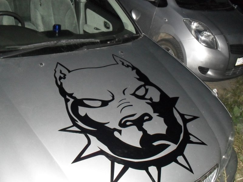 Наклейки аэрография на авто