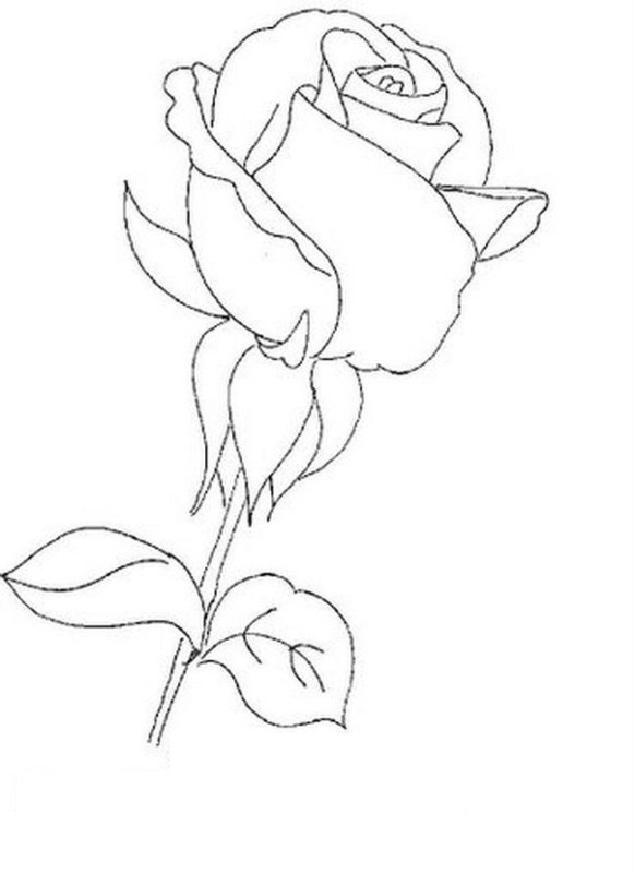 Трафарет розы для вышивки гладью