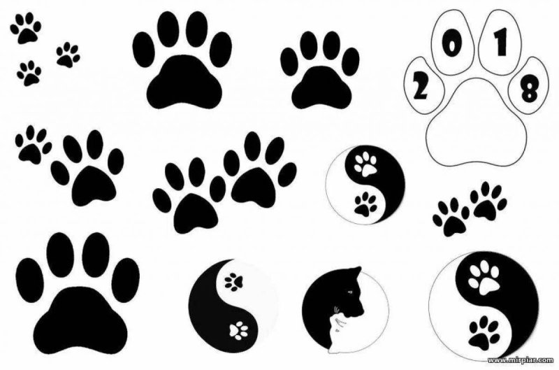 Кошачьи лапки трафарет