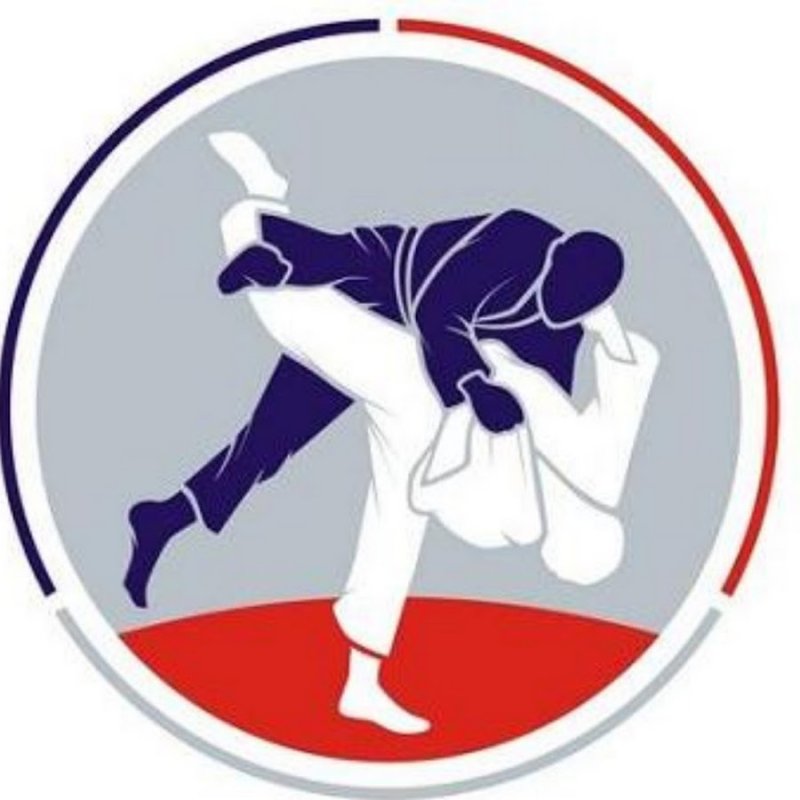 Дзюдо логотип
