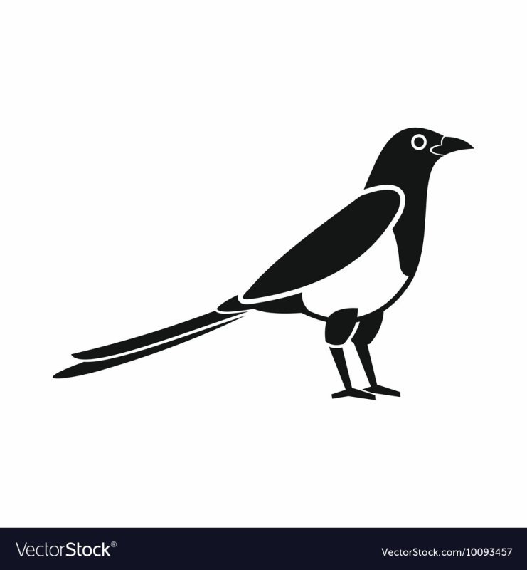 Трафарет птицы сорока