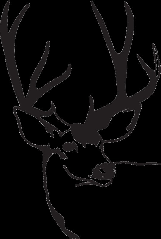 Олень для выжигания по дереву