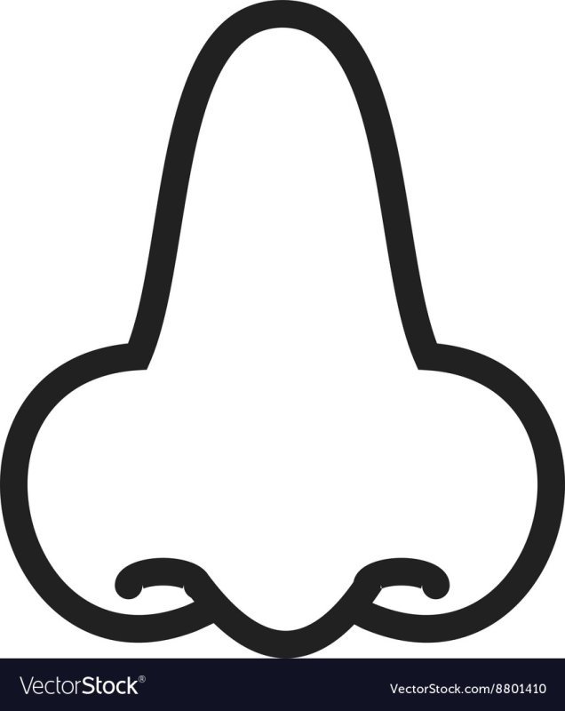 Нос раскраска