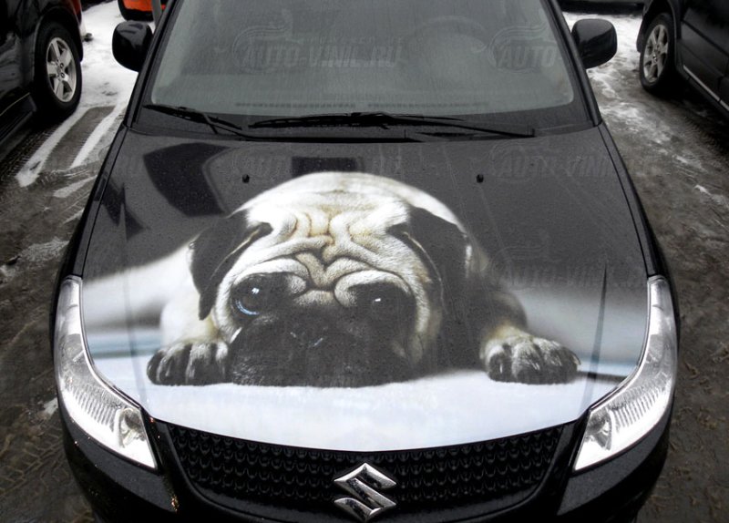 Аэрография медведь на капоте