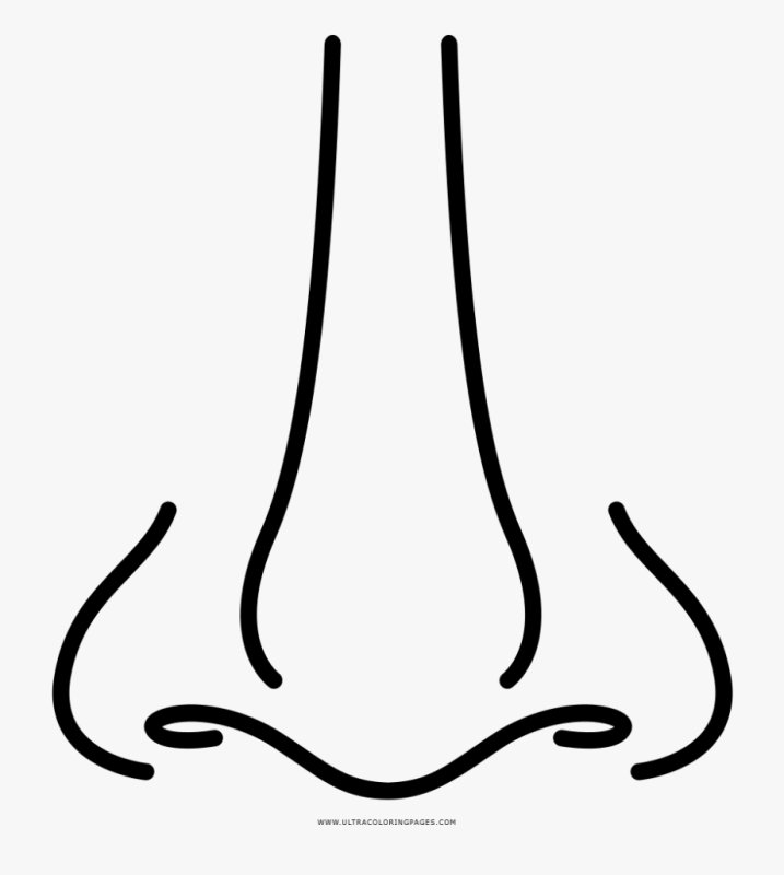 Нос раскраска для детей