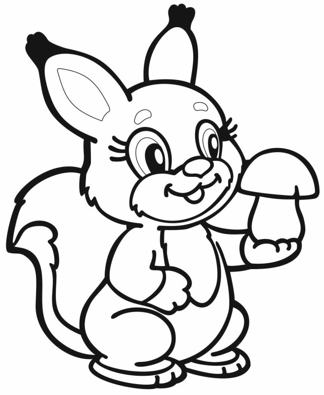 Трафарет белки