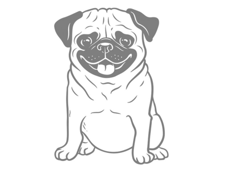 Раскраска мопсики