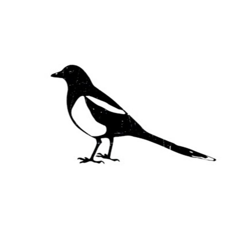 Силуэт сороки