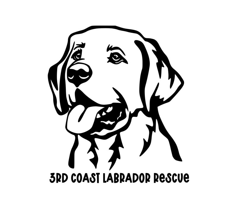 Лабрадор ретривер вектор